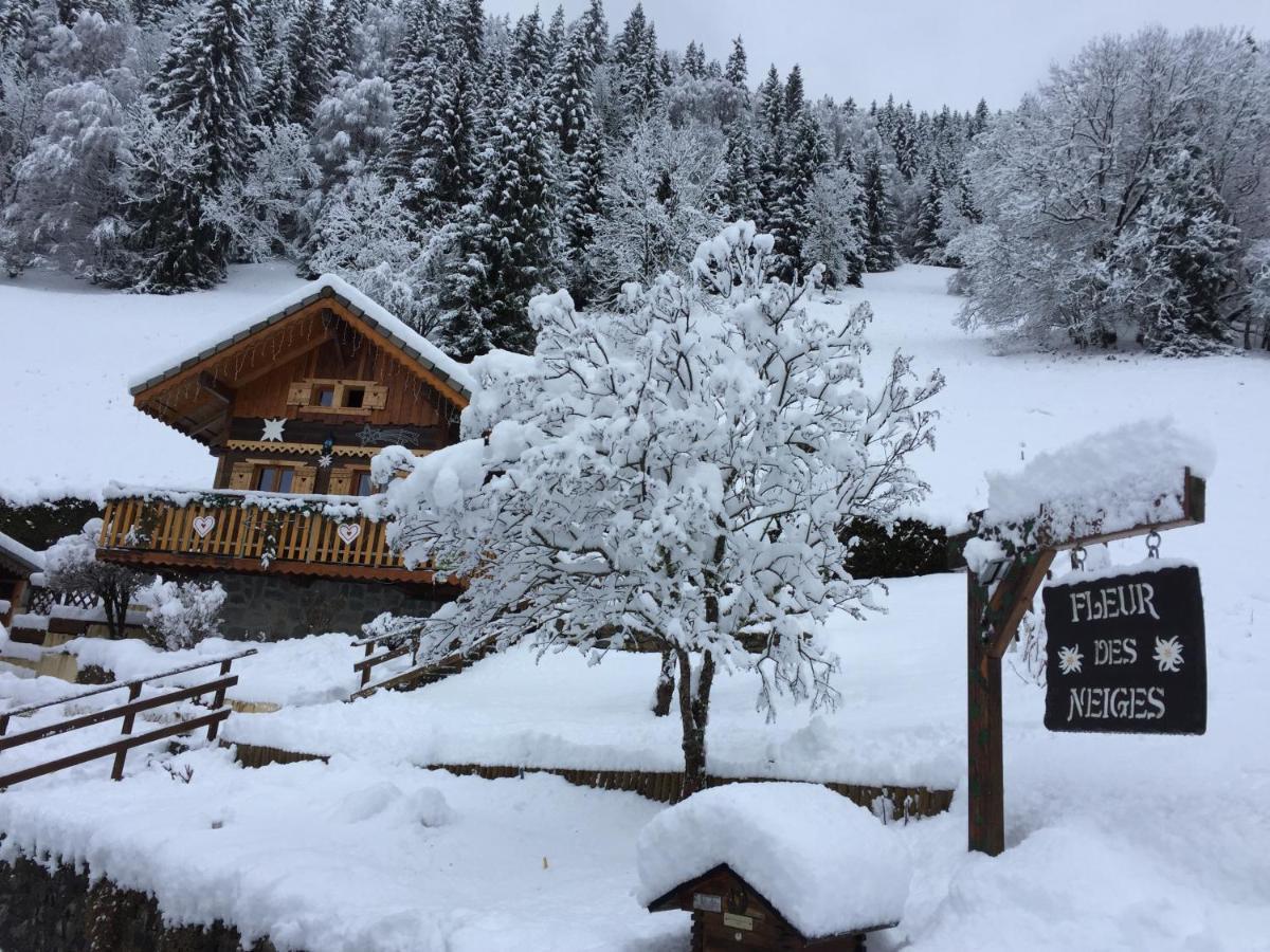 Chalet Fleur Des Neiges Saint-Jean-dʼAulps Zewnętrze zdjęcie