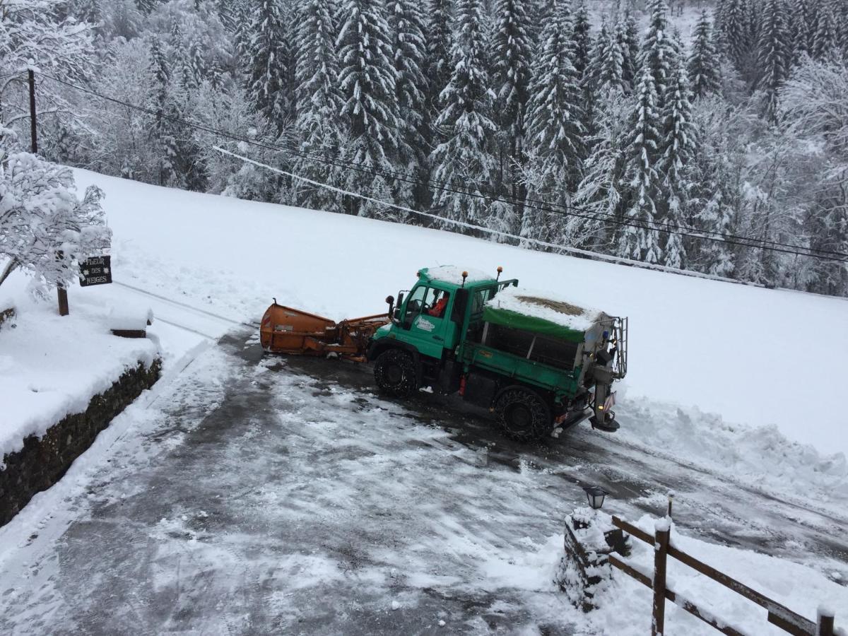 Chalet Fleur Des Neiges Saint-Jean-dʼAulps Zewnętrze zdjęcie