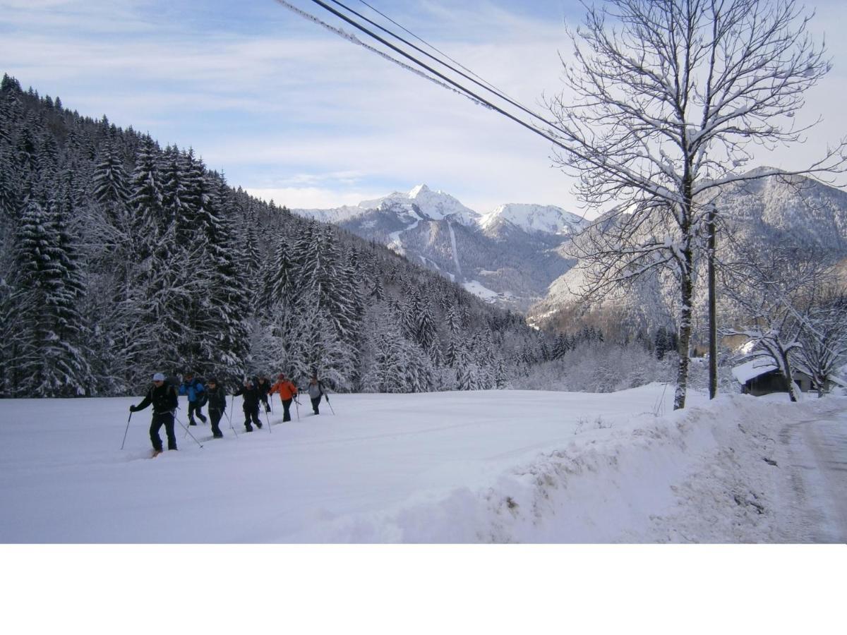 Chalet Fleur Des Neiges Saint-Jean-dʼAulps Zewnętrze zdjęcie