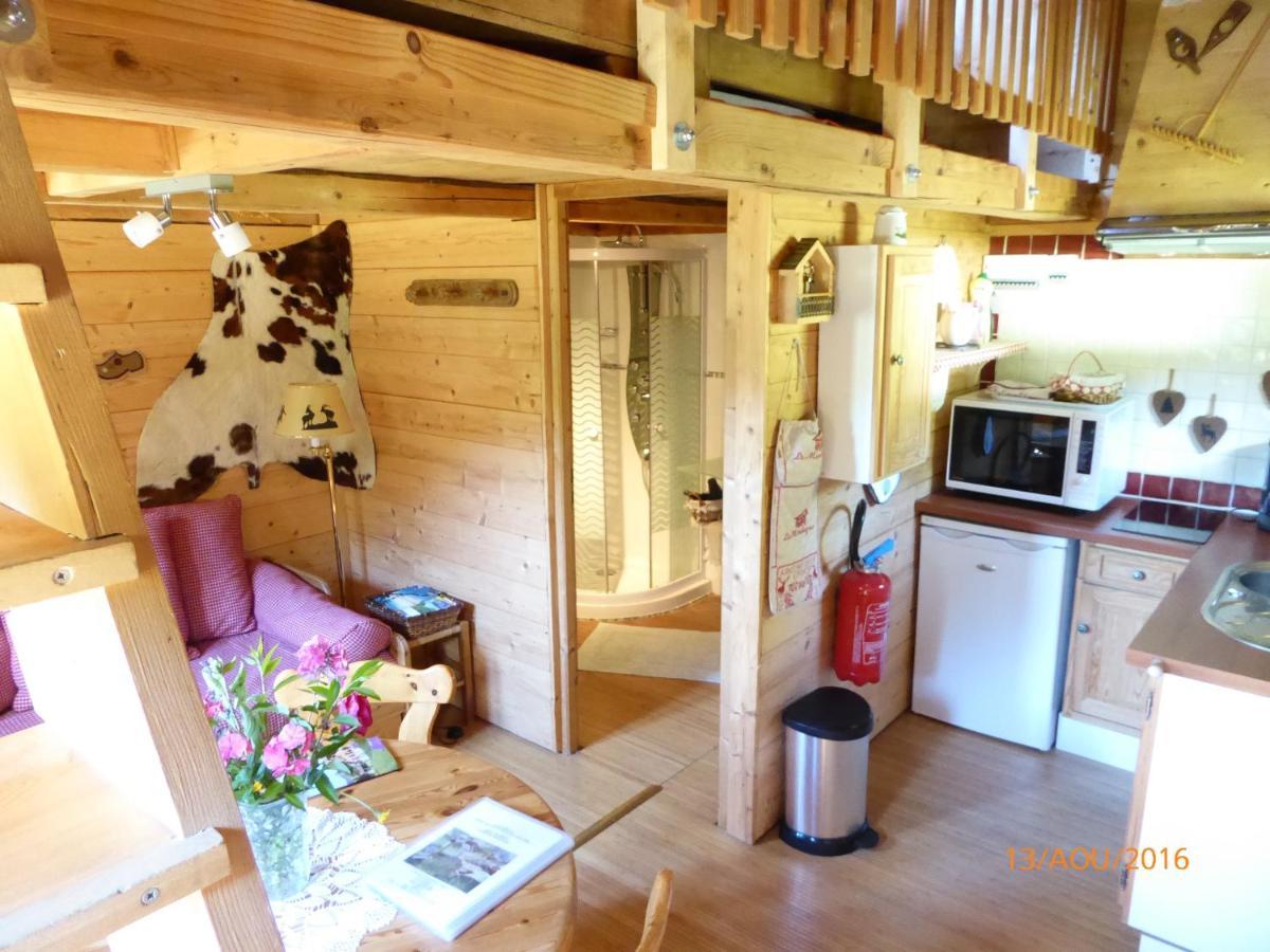 Chalet Fleur Des Neiges Saint-Jean-dʼAulps Zewnętrze zdjęcie